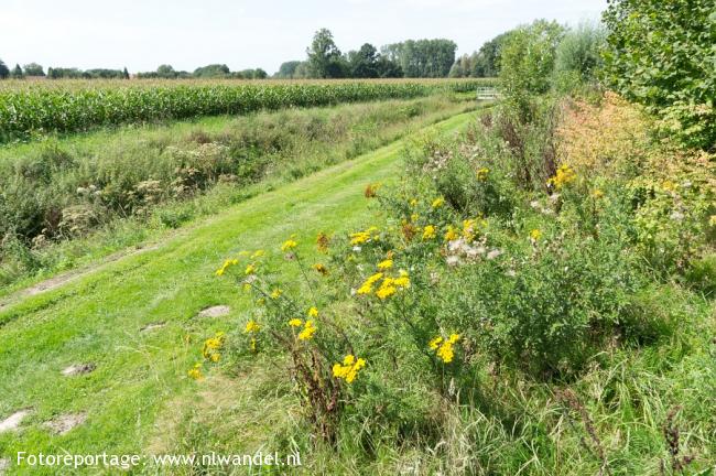 Langs de Roode Beek