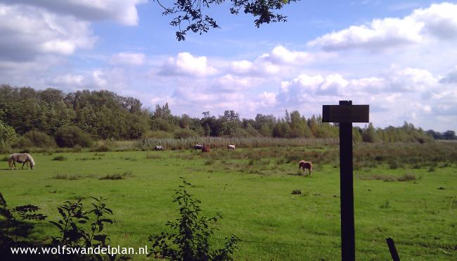 Trage Tocht Wisselse Veen