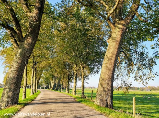 Trage Tocht Kampen (stadse tocht)