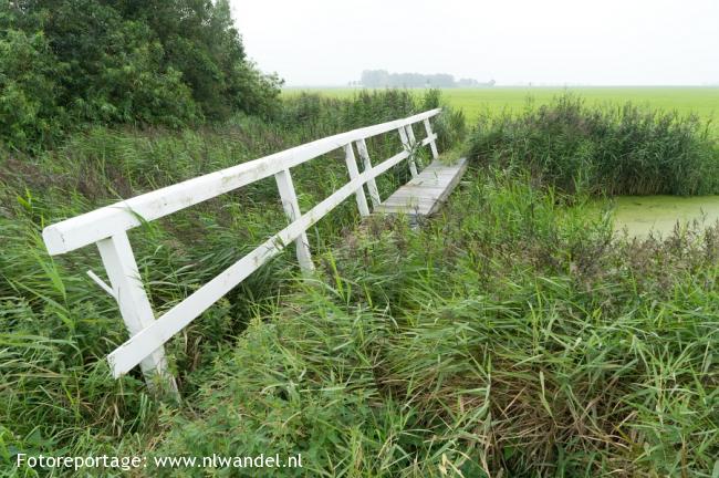 Groene Wissel IJlst 1