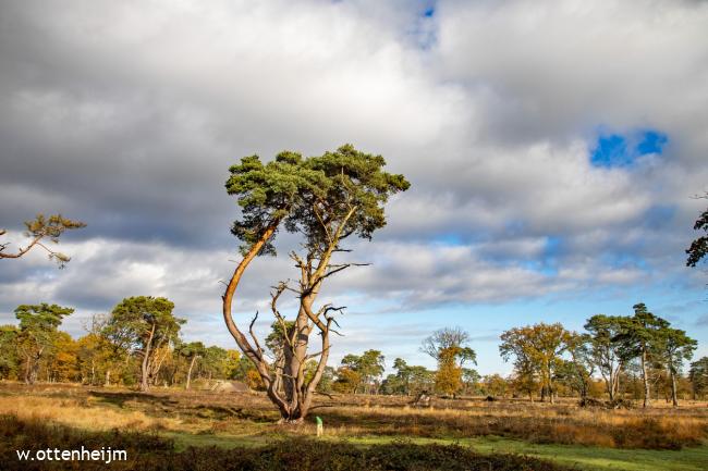 Wandelvanuit Anloo