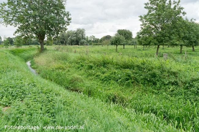 Groene Wissel Echt