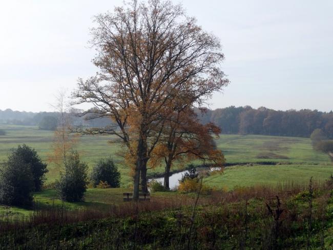 De Drentse Aa en de Strubben