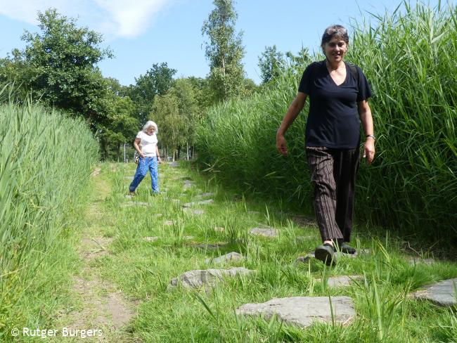 Trage Tocht Rotterdam Zuid (stadse tocht)