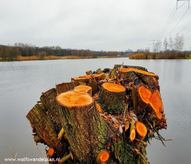 Trage Tocht Hengelo West (stadse tocht)