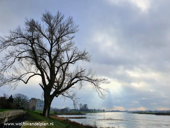 Trage Tocht Zutphen aan de IJssel (stadse tocht) 