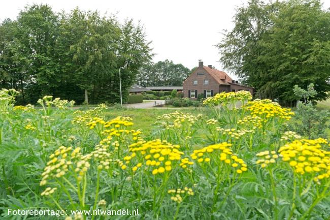 Groene Wissel Reuver