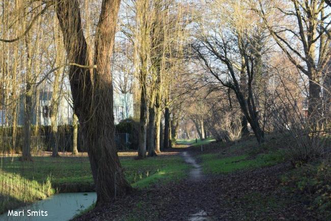 Zuiderzeewijk