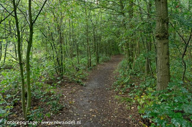 Groene Wissel Cuijk