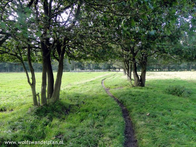 Trage Tocht Ede-Wolfheze