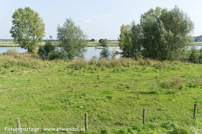 Middelwaard