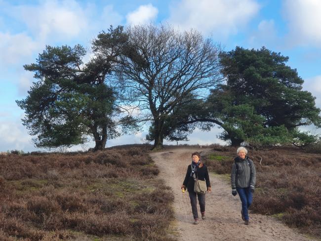 Trage Tocht Laren (NH)