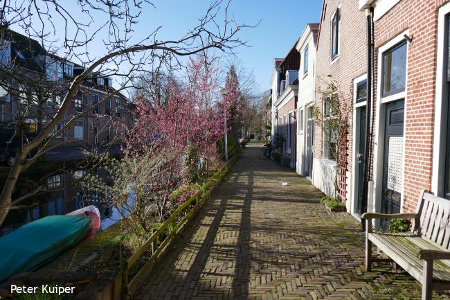 Buitenwatersloot in Delft
