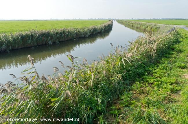 Groene Wissel Stedum