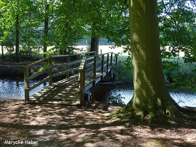 Brug over de Marswetering