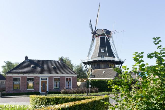Noordhorn, molen