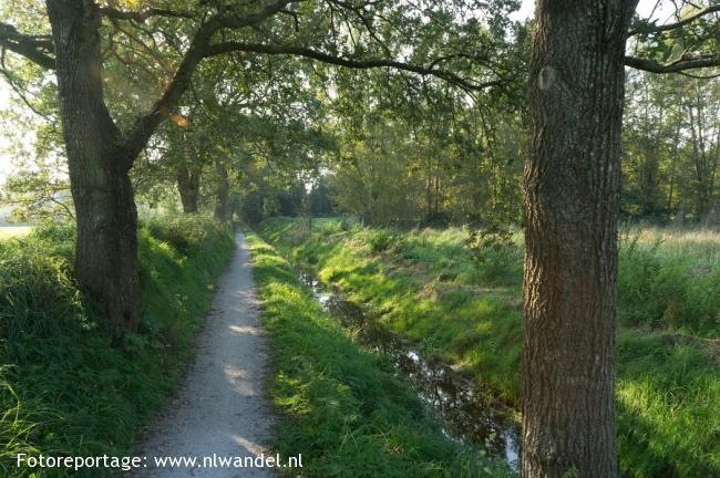 Groene Wissel De Westereen (Zwaagwesteinde)