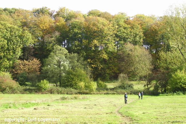 Natuurgebied Nonnenbach - Nottulner Berg