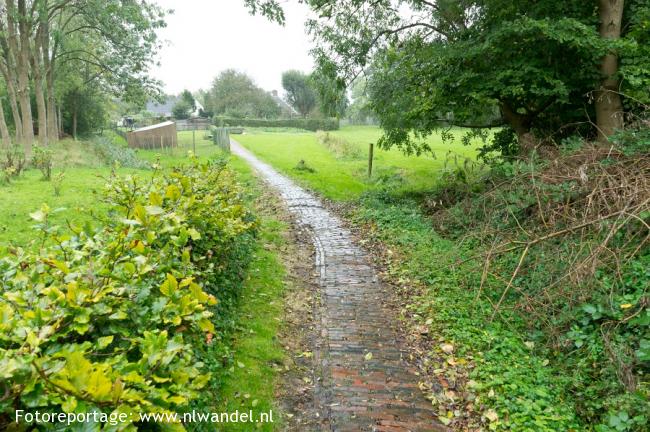 Biessum, over de wierde