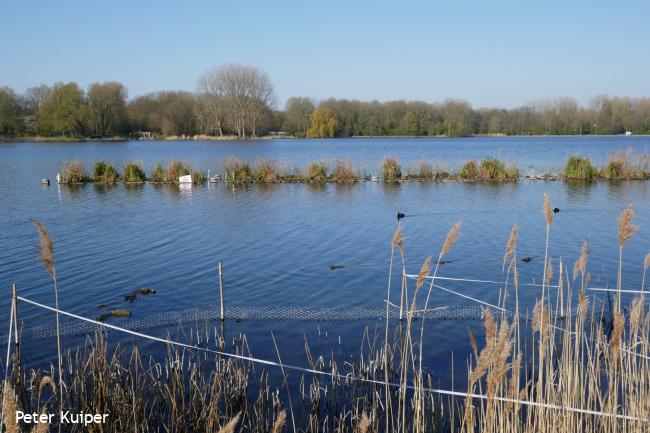 Drijvende eilanden in de Grote Plas (Delftse Hout)