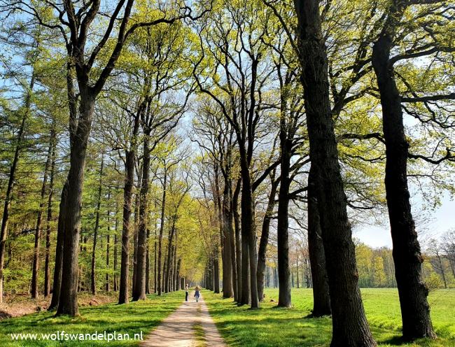 Trage Tocht IJzevoorde