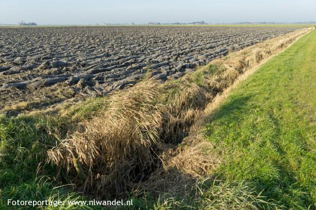 Groene Wissel Dronryp (Dronrijp)