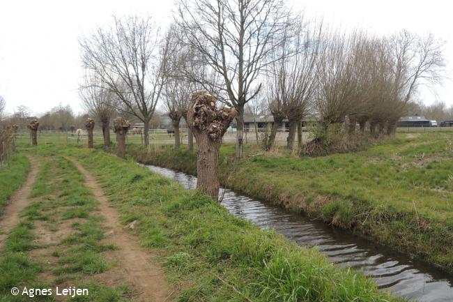 Groeten uit Breugel