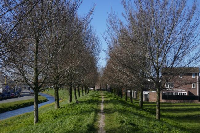Wandeldijkje in Wateringen nabij de Haagse wijk Wateringse veld