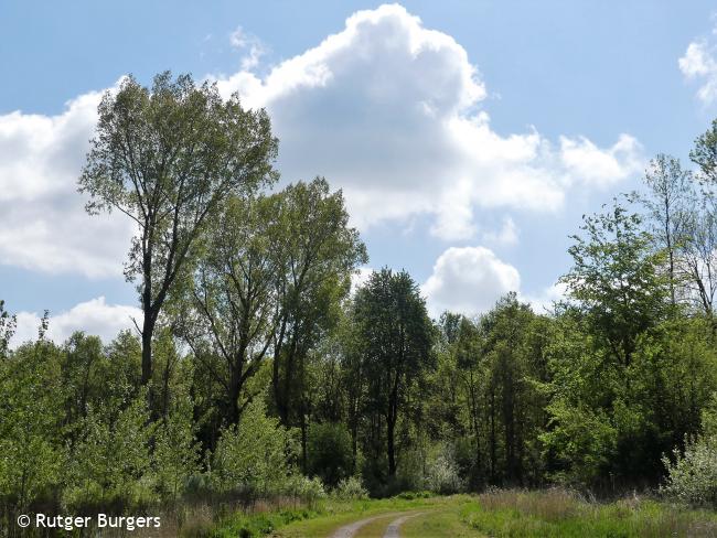 Trage Tocht Almere Hout