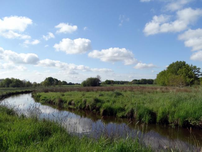 Zicht op het Metbroekbos