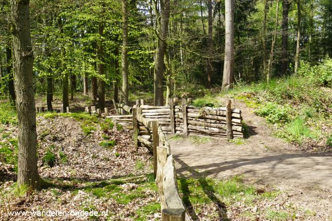 Wildwal bij kasteel Hoekelum