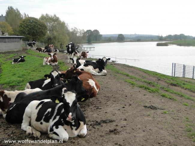 Trage Tocht Elten-Babberich