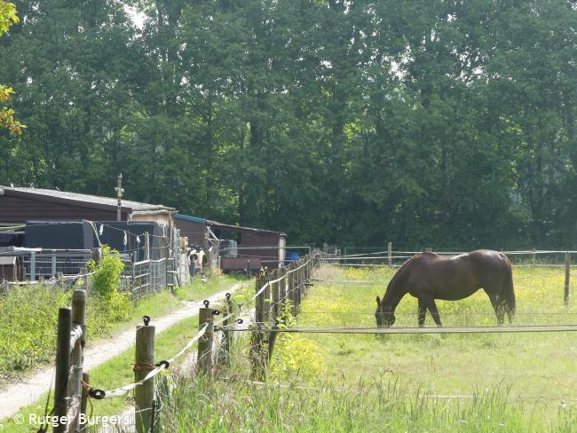 Trage Tocht Lelystad