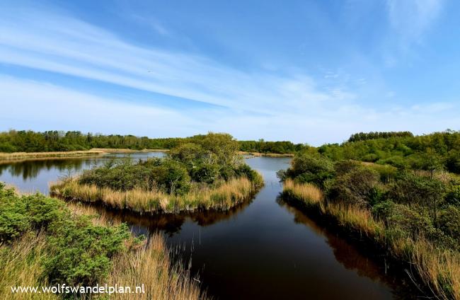 Trage Tocht Ballastplaatbos