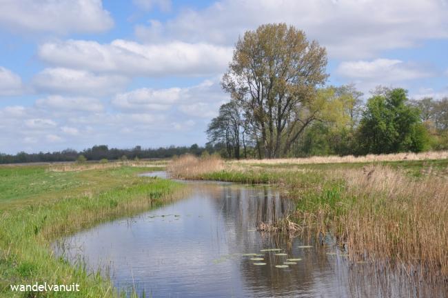 Wandelvanuit Kolham-Woudbloem