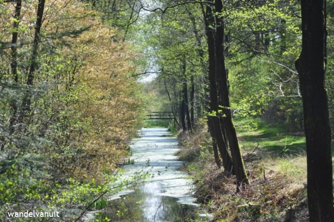 wvu rondwandeling Blauwe Bos Haulerwijk