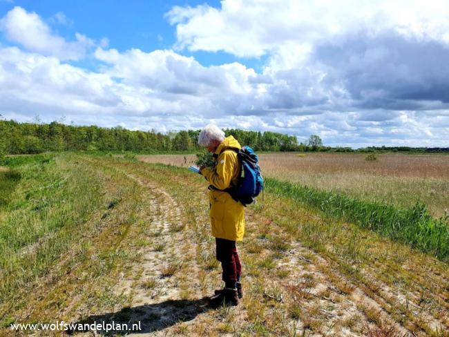 Trage Tocht Vlinderbalgbos