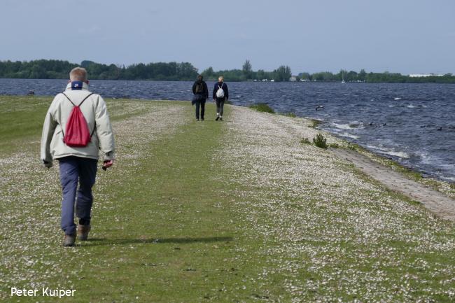 Langs de oever van het Braassemermeer