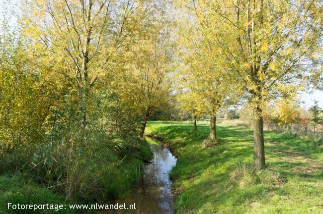 Groene Wissel Horst-Sevenum