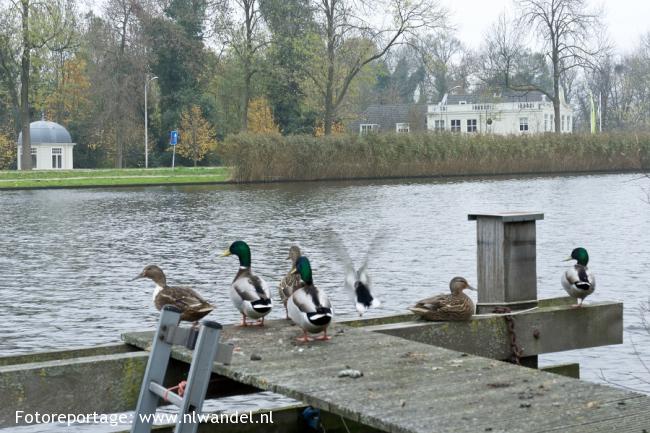 Groene Wissel Amsterdam Amstel