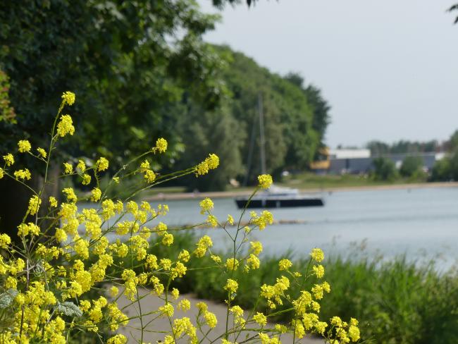 Trage Tocht Hoorn (stadse tocht)