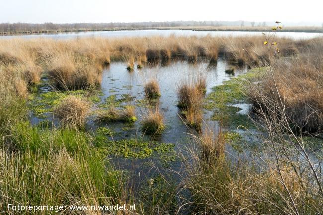 Groene Wissel Daarlerveen