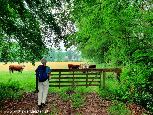 Trage Tocht Noordlaren