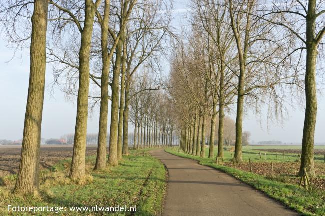 Streeplandsedijk