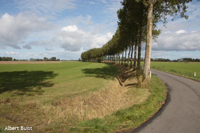 Feerwerd, Zijlsterweg