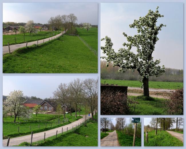 Cotlandenpad