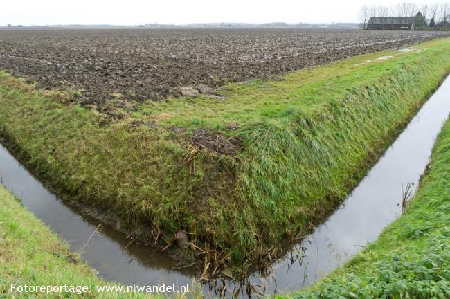 Crauwelgorse polder