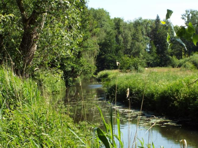 Ommetje Oude Hondsberg