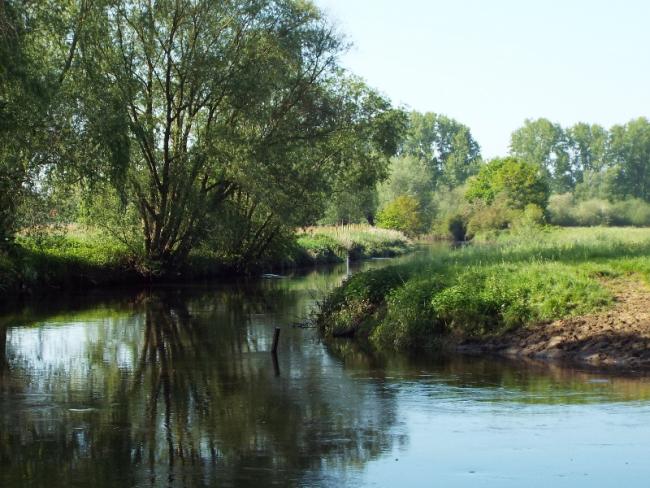 De Dommel