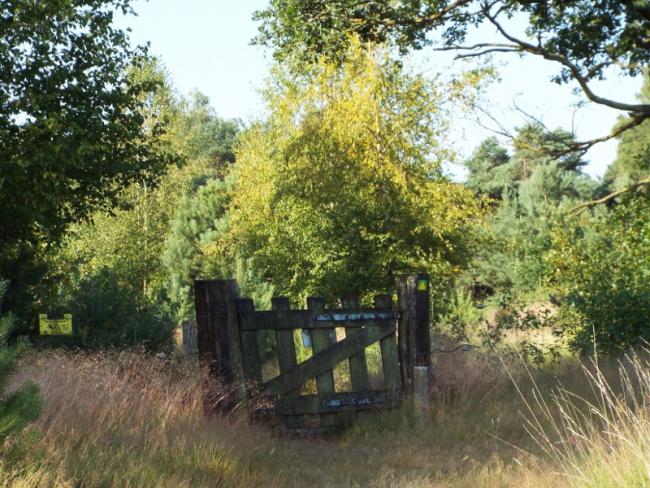 De Oude Bakelsedijk